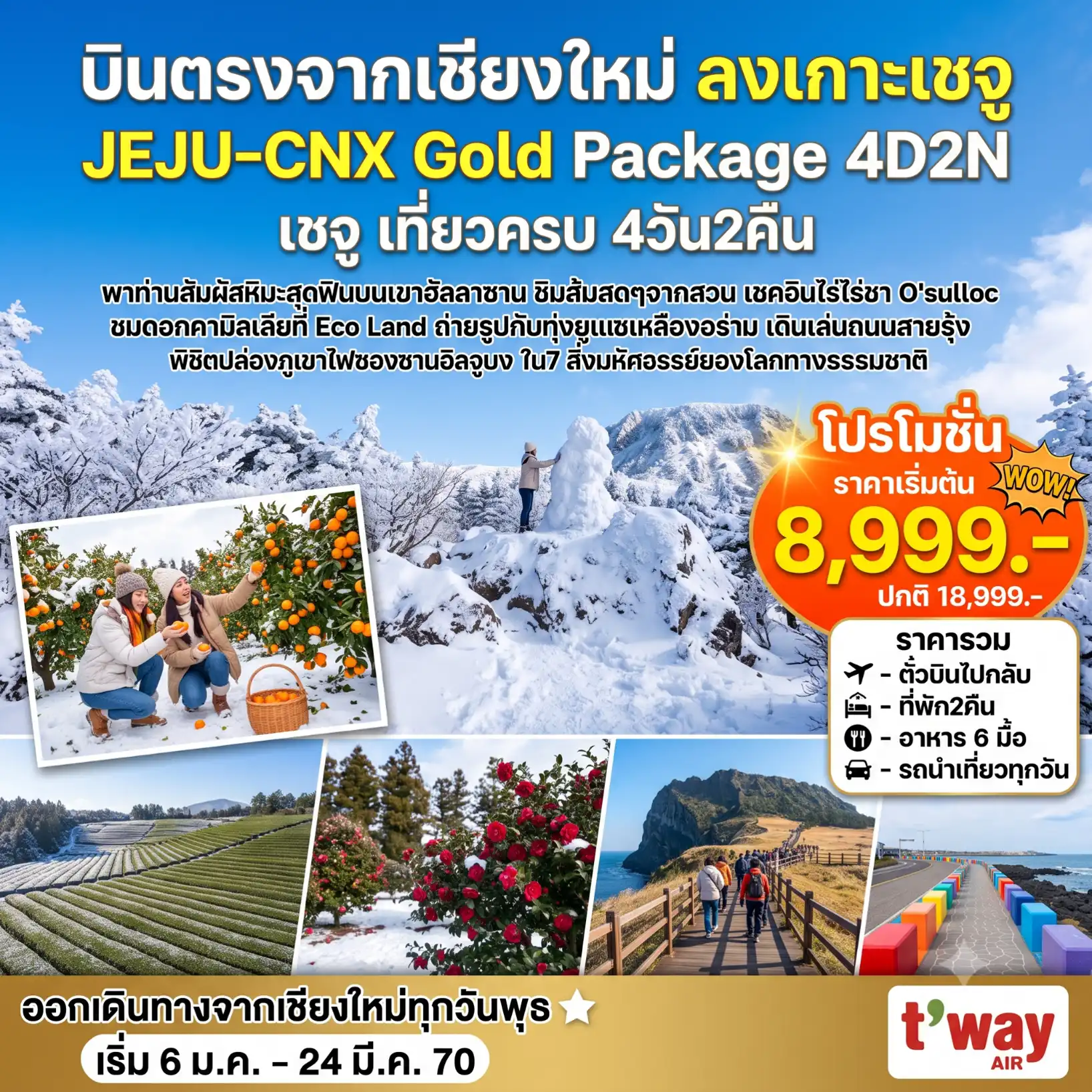 ทัวร์เกาหลี เชจู Jeju Gold Package Winter *บินตรงเชียงใหม่* 4วัน 2คืน (TW)